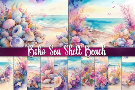 Boho Seashells Beach Summer Background Graphic By Summer Digital