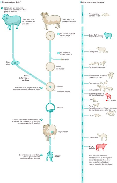 Historia De La Clonación Biología Clase De Biología Biologia Molecular