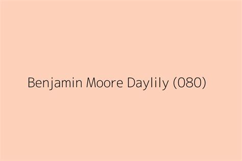 Benjamin Moore Daylily 080 Color HEX Code