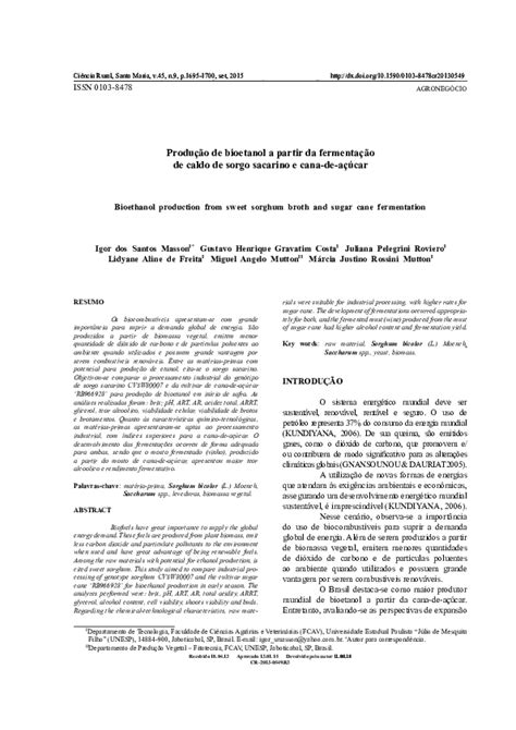 Pdf Produção De Bioetanol A Partir Da Fermentação De Caldo De Sorgo