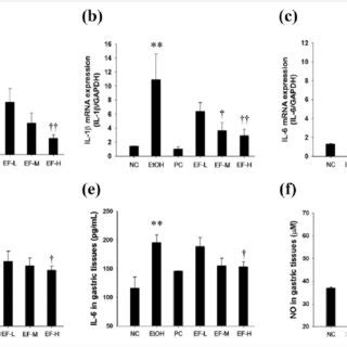 Effect Of Ef On Cell Viability And No Production In Lps Stimulated