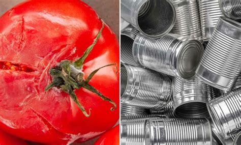 L invention d un revêtement à base de marc de tomate et sans Bisphénol