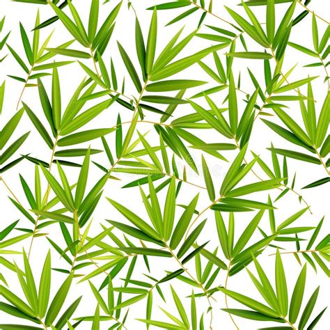 769 Seamless Pattern Bamboo Leaf Background Stock Vector