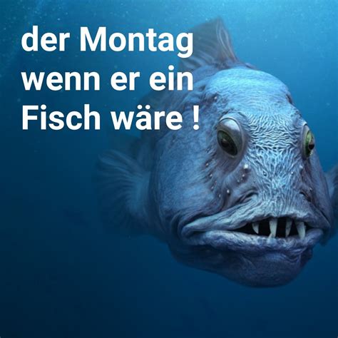 Montag lustig witzig Sprüche Bild Bilder Wenn er ein Fisch wäre