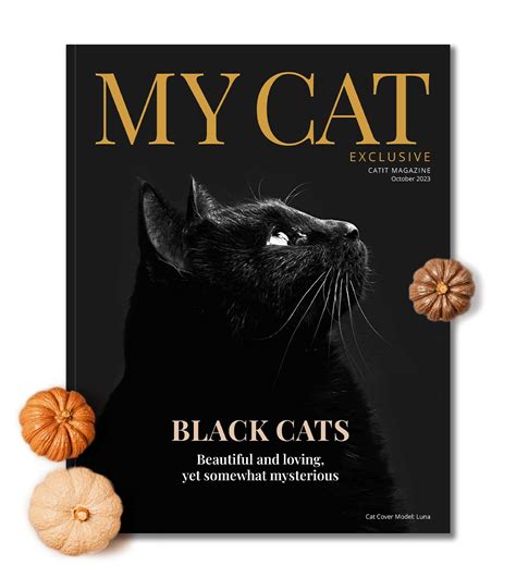 My Cat Exclusive - October 2023 - Catit