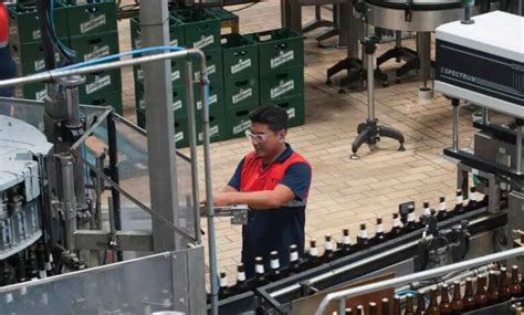 Se Buscan Trabajadores Para Trabajar En San Miguel