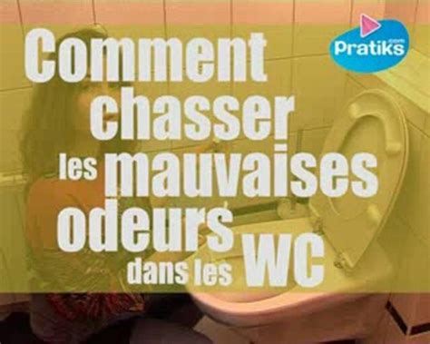 Comment Chasser Les Mauvaises Odeurs Dans Vos Toilettes Afin De