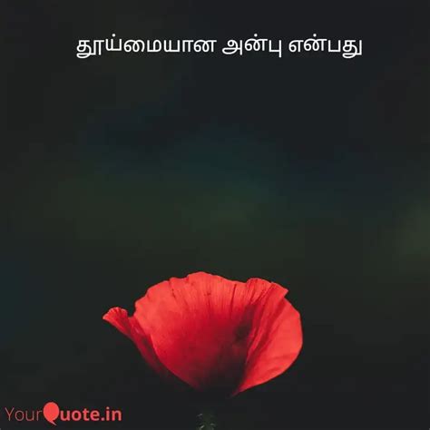 தூய்மையான அன்பு என்பது Quotes And Writings By Yourquote Kanmani Yourquote