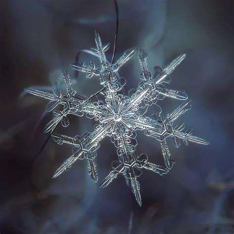 雪花 堆糖美图壁纸兴趣社区