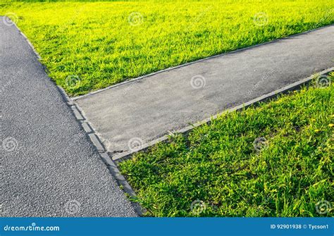 Asphalt Path Stock Photo Image Of Healthy Road Grass 92901938