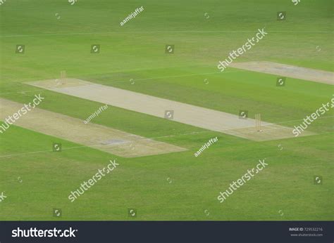 empty cricket pitch ready play stock photo  shutterstock