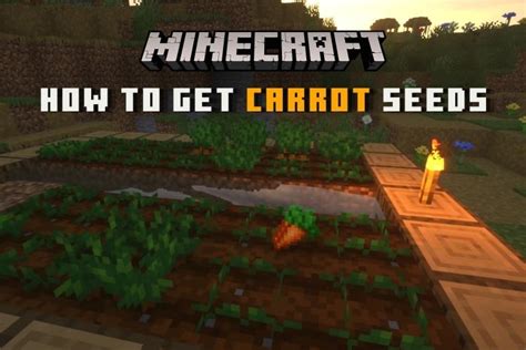 How To Get Carrots In Minecraft 2022 Beebom