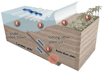 Causes of Tsunami~:: | Natural Disaster