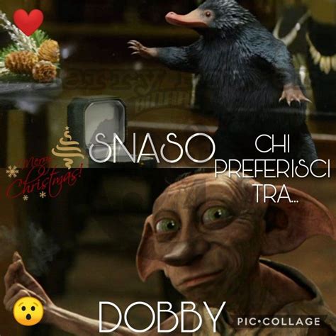 Vi Piace Di Più ⚡ Snaso ️ Dobby A Voi La Scelta Potterheads ⚡ Passate Nel Nostro Gruppo