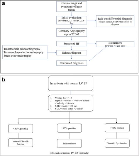 A Diagnostic Algorithm For Heart Failure In T Dm B Algorithm