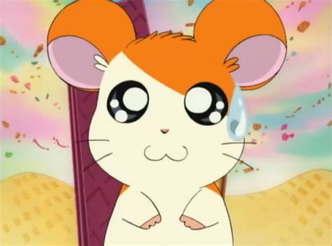 Image Bandicam 2016 07 16 19 14 41 412  The Hamtaro Wiki Fandom Powered By Wikia