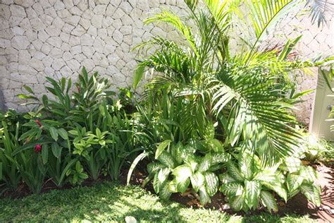 Tropical Garden Plant Bed Idea Theolsonfive Olson Flickr