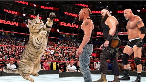 Cat Vs Brock Lesnar Braun Strowman GoldBerg YouTube