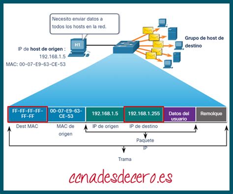 Direcci N Mac Ethernet Ccna Desde Cero