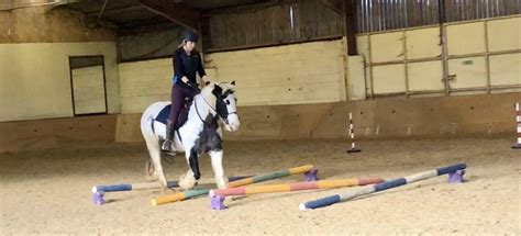 Fletchers Farm Riding School | Riding lessons & Pony Club | Essex