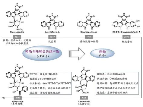 咔唑类生物碱合成新途径：铑卡宾迁移 插羰 环化 重排，一步获得全取代苯炔 反应