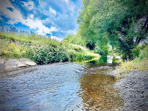 Gallery - Meadow Springs Country & Leisure Park