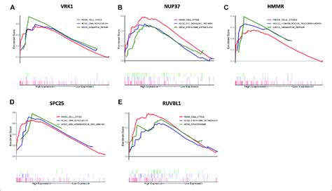 Gene Set Enrichment Analysis Gsea Of Hub Genes The Top Three