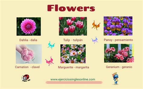 Nombres De Flores En Ingles