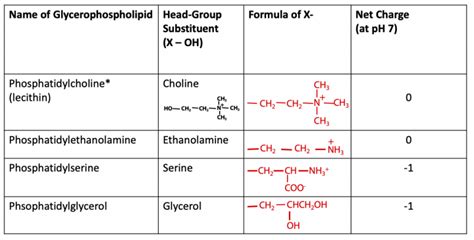 Lipids Fatty Acids Triglycerides And Phospholipids Bioc2580