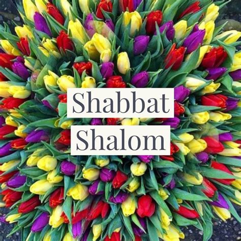 Pin By Rosemary On Shabbat Shalom Shabbat Shalom Shabbat Shalom