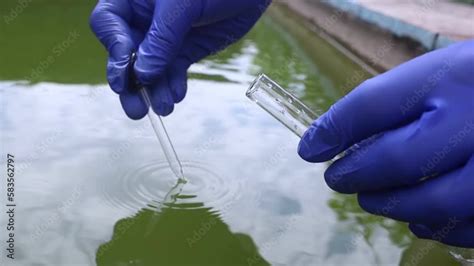 Stockvideon Water Sample Bacterial Control Of Pool Water Checking The