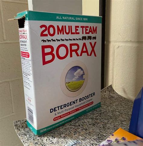 Is Borax Effective For Bed Bugs Ultimate Guide