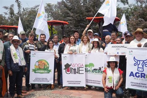 En Cundinamarca Minagricultura Fortalece La Cadena De La Leche Anp