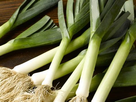 Hazera to stock Syngenta leek varieties