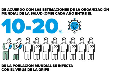 Gripe Causas S Ntomas Tratamiento Prevenci N Portalcl Nic