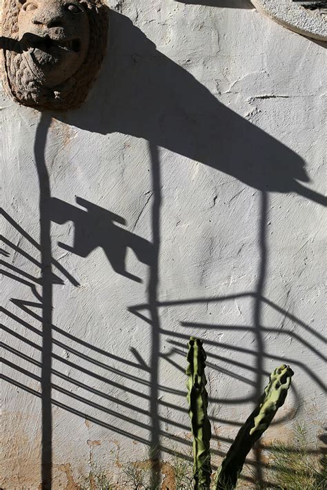 San Xavier Gate Shadow With Cactus 1 Photograph By Mary Bedy Pixels