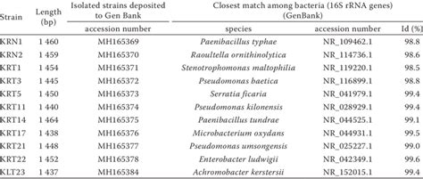 Sequence Similarities Of Endophyte Bacteria Isolated From The Root