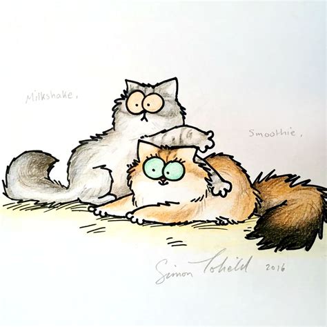 Simon Tofield Simons Cat Portrait Of Smoothie And Milkshake Cute