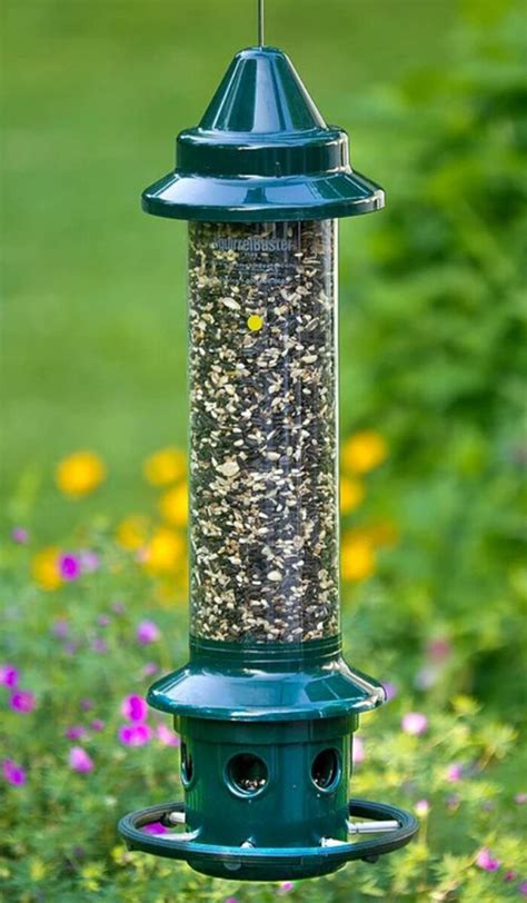 Squirrel Proof Feeders — The Fat Robin