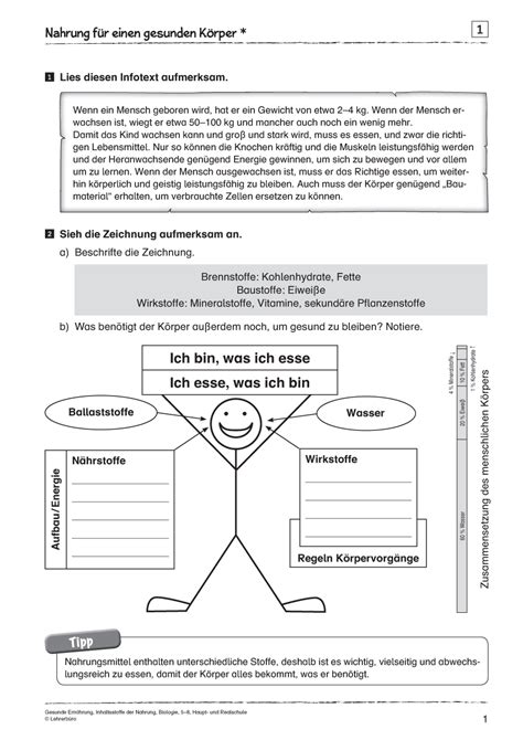 Arbeitsblatt Gesunde Ern Hrung Arbeitsbl Tter Ern Hrung Der Kostenlos