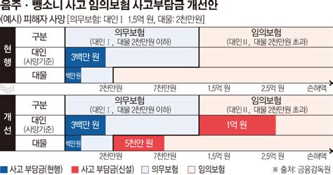 임의보험 음주운전·뺑소니사고 사고부담금 강화된다 이투데이