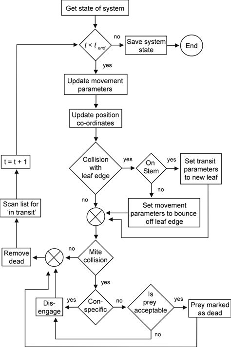 A Flow Diagram Representing Our Simulation Model Of Mite Predator And