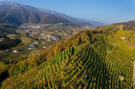 Memorandum Appello Salviamo Le Coste Della Sardegna Di Lipu