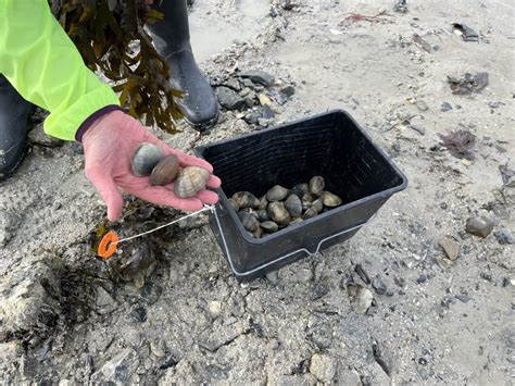 Près Marseille Une bactérie mortelle présente dans l eau la pêche