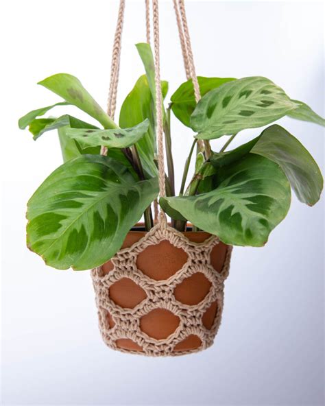 25 Free Crochet Plant Hanger Patterns Sarah Maker