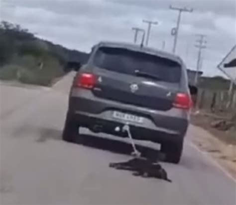 Homem Preso Por Arrastar Cachorro Amarrado Ao Carro Coisas De