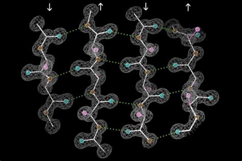 Finding New Clues About How Proteins Fold - Neuroscience News