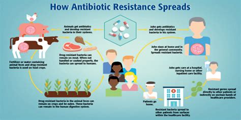 Antimicrobial Resistance Current Affairs Editorial Notes By Vajiraoias