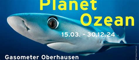 Ausstellung Planet Ozean Im Gasometer Oberhausen Manatees Monheim E V