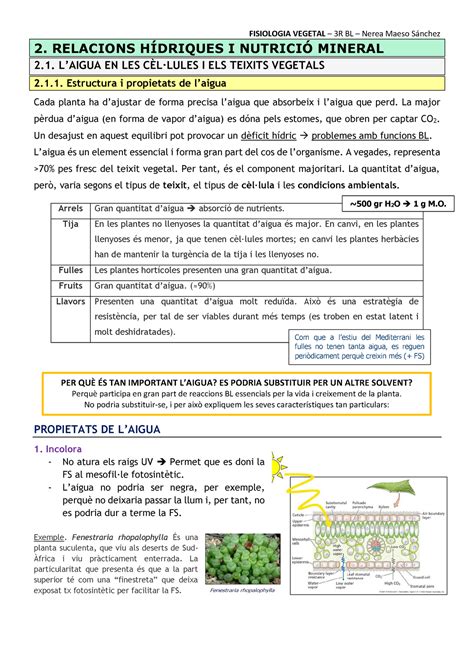 Bloc Relacions H Driques I Nutrici Mineral Fisiologia Vegetal R